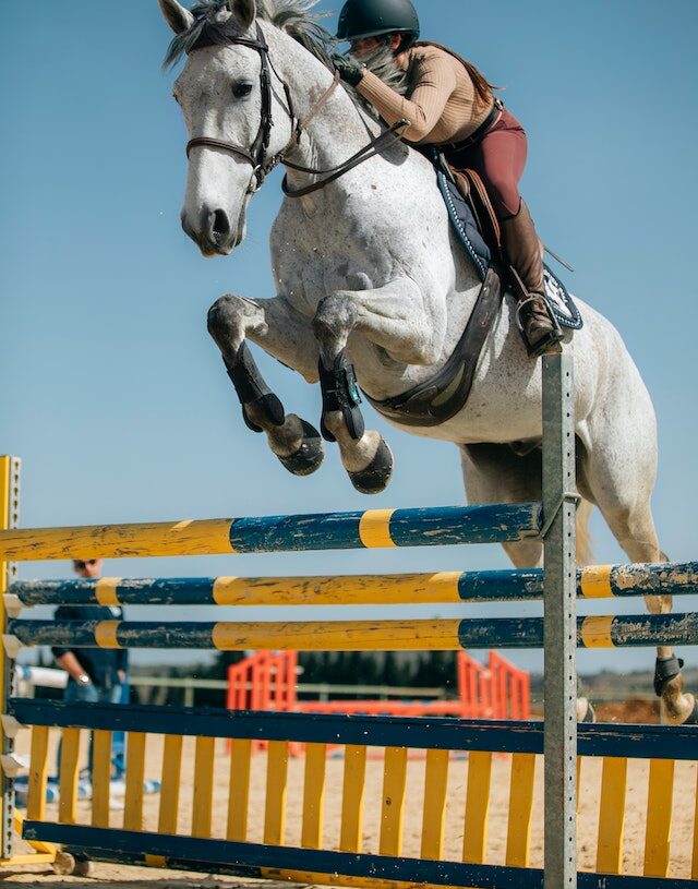 Reasons to Add a Pole Wall Caddy to Your Horse Jumps