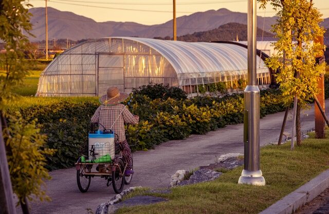 The Role of Battery-Powered Sprayers in Modern Gardening and Farming Practices