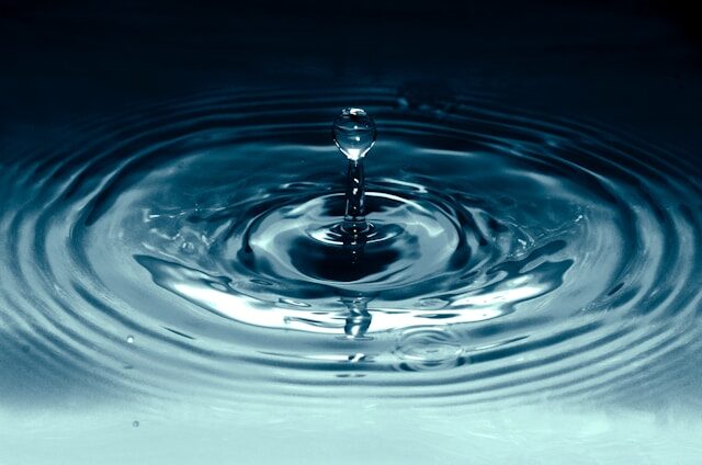 Top Strategies for Water Leak Detection and Prevention